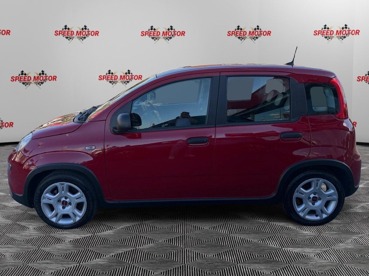 Fiat Panda Cross Cross 1.0 FireFly S&S Hybrid (4)