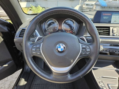 BMW Serie 2 Cabrio 220d  Luxury (12)