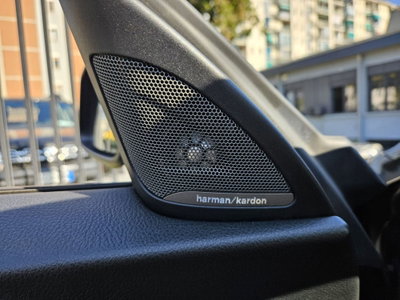BMW Serie 2 Cabrio 220d  Luxury (14)