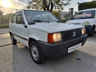 Fiat Panda 900 i.e. cat Young (3)