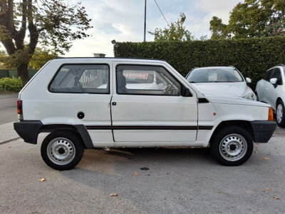 Fiat Panda 900 i.e. cat Young (5)