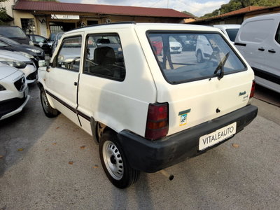 Fiat Panda 900 i.e. cat Young (8)