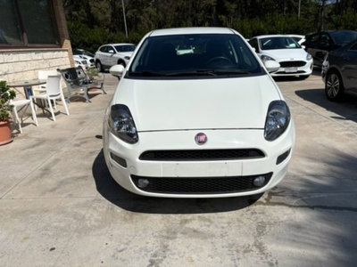 Fiat Punto 1.3 MJT II S&S 85 CV 5 porte ECO Street (2)