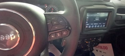 Jeep Renegade 1.6 Mjt 130 CV Limited (14)