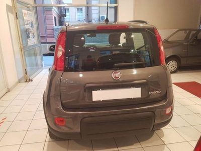 Fiat Panda 1.0 firefly hybrid s&s 70cv 5p.ti (7)
