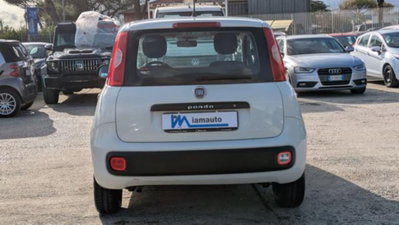 Fiat Panda 1.2 GPL Van Active 2 posti (11)