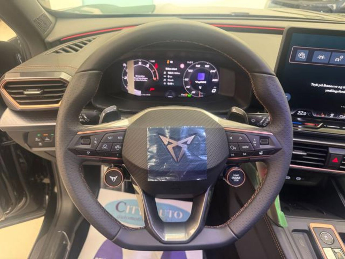 Cupra Formentor 2.0 tsi VZ 4drive 333cv dsg (14)