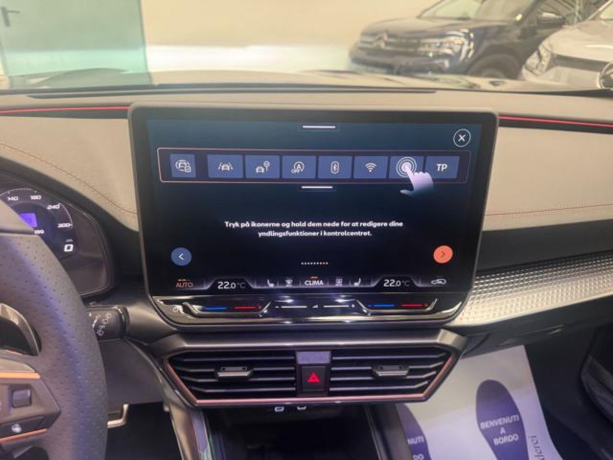 Cupra Formentor 2.0 tsi VZ 4drive 333cv dsg (15)