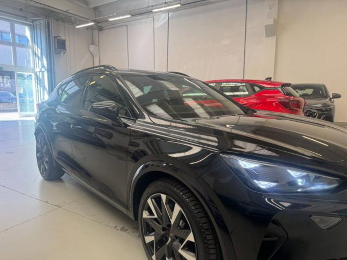 Cupra Formentor 2.0 tsi VZ 4drive 333cv dsg (3)
