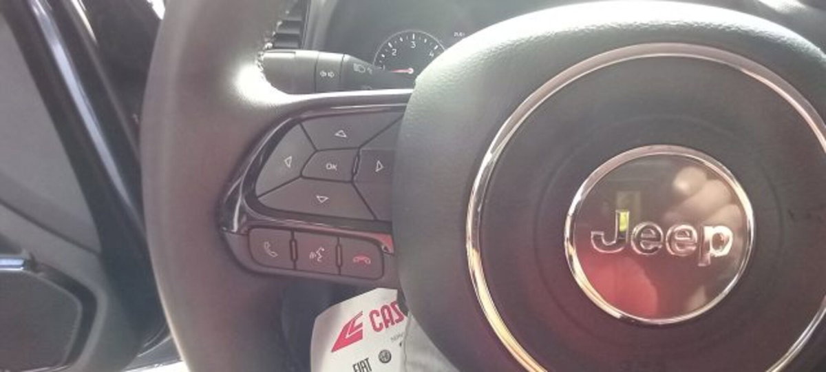 Jeep Renegade 1.6 Mjt 130 CV Limited (13)
