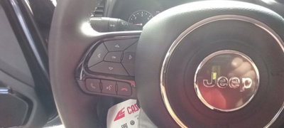 Jeep Renegade 1.6 Mjt 130 CV Limited (13)