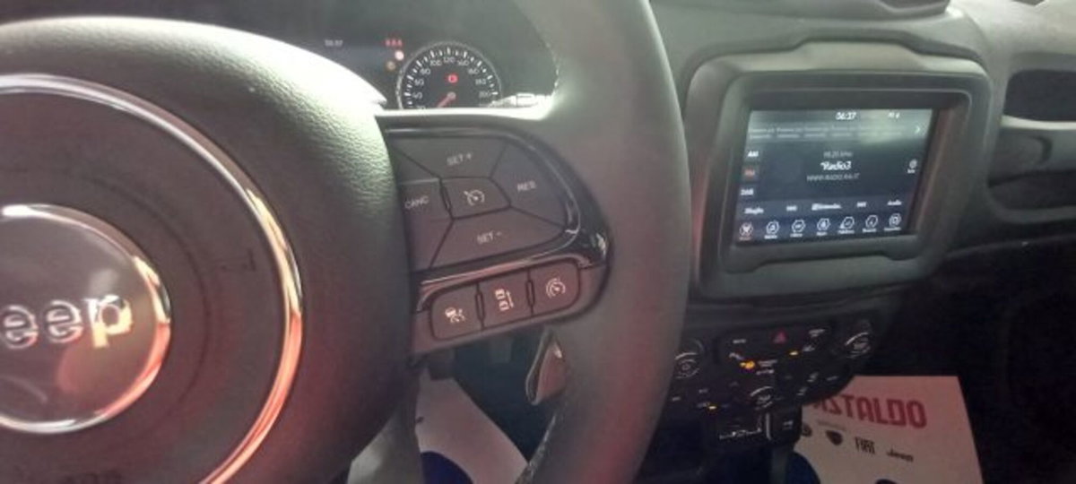 Jeep Renegade 1.6 Mjt 130 CV Limited (14)