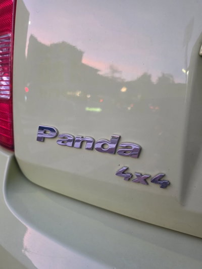 Fiat Panda 1.2 4x4 Climbing (19)