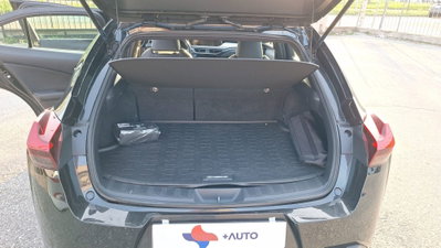 Lexus UX Hybrid Business (12)