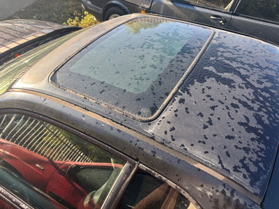 Honda Prelude 2.2i 16V V-TEC cat 4WS (9)