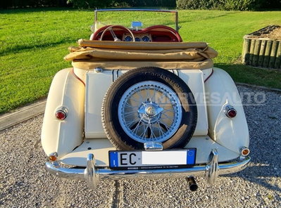 Mg TF 115 1.6 16V cat (13)