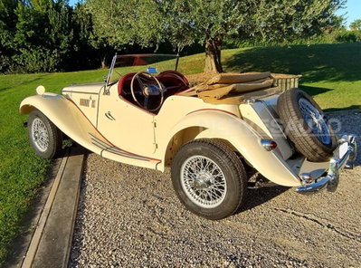 Mg TF 115 1.6 16V cat (14)