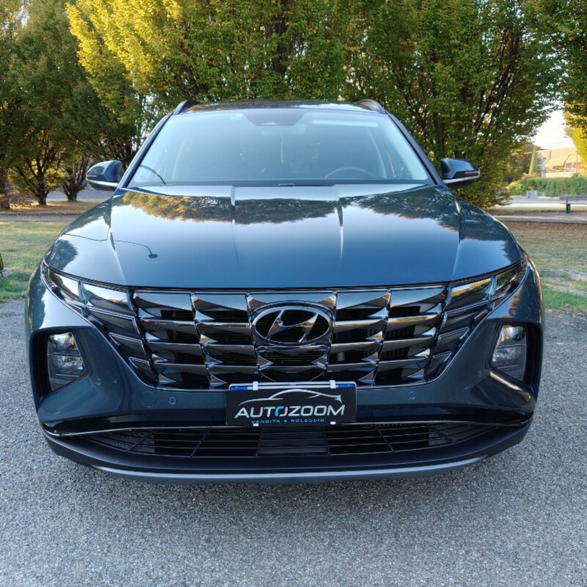 Hyundai Tucson 1.6 crdi 48V Xline 2wd dct (18)