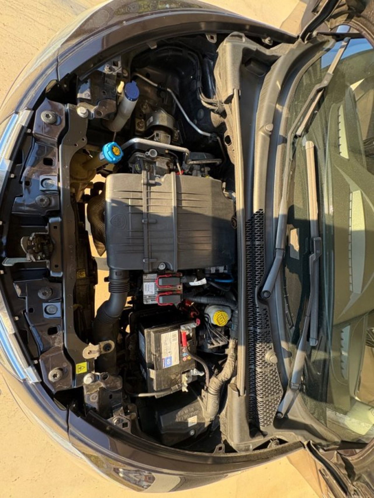 Lancia Ypsilon 1.2 69 CV 5 porte Silver (18)