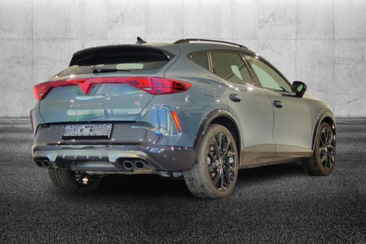 Cupra Formentor 2.0 tsi VZ 4drive 333cv dsg (3)