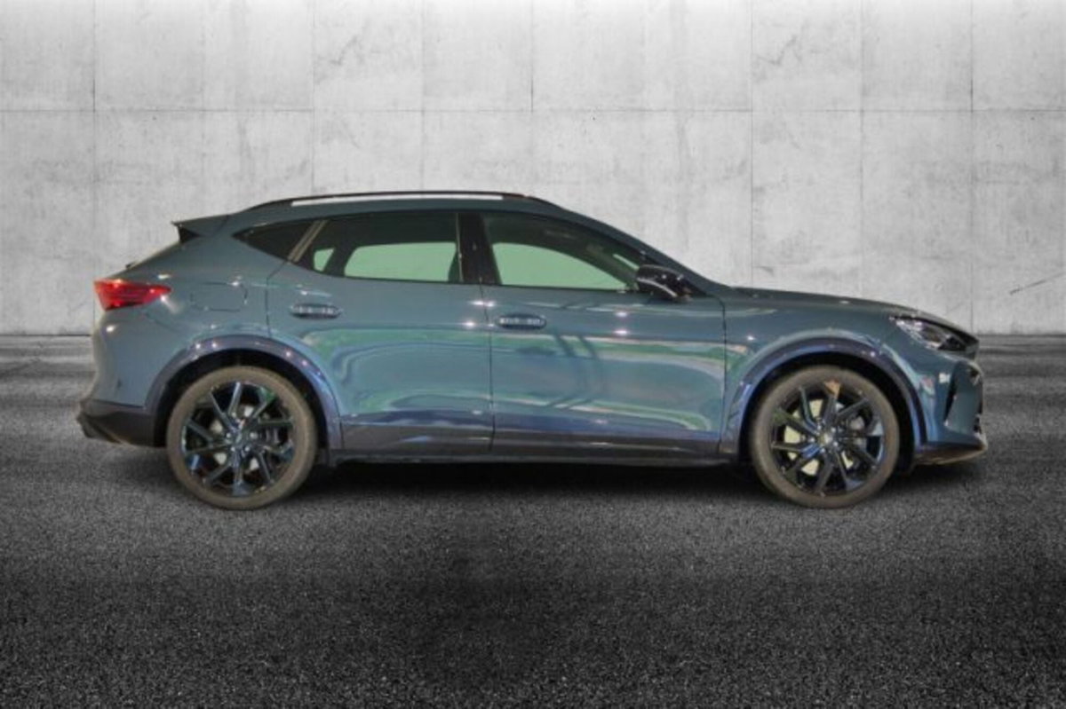 Cupra Formentor 2.0 tsi VZ 4drive 333cv dsg (5)