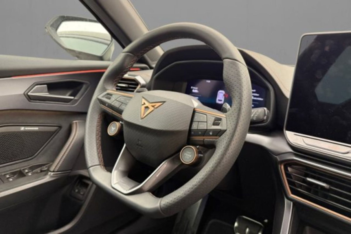 Cupra Formentor 1.5 e-hybrid VZ Extreme 272cv dsg (5)