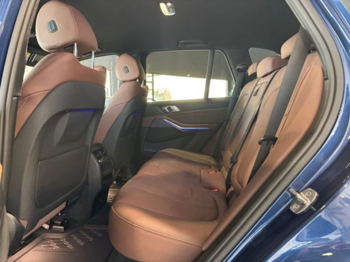 BMW X5 xDrive30d xLine (12)