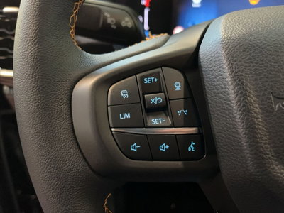 Ford Ranger Pick-up 2.0 ecoblue doppia cabina Wildtrak awd 205cv auto (18)