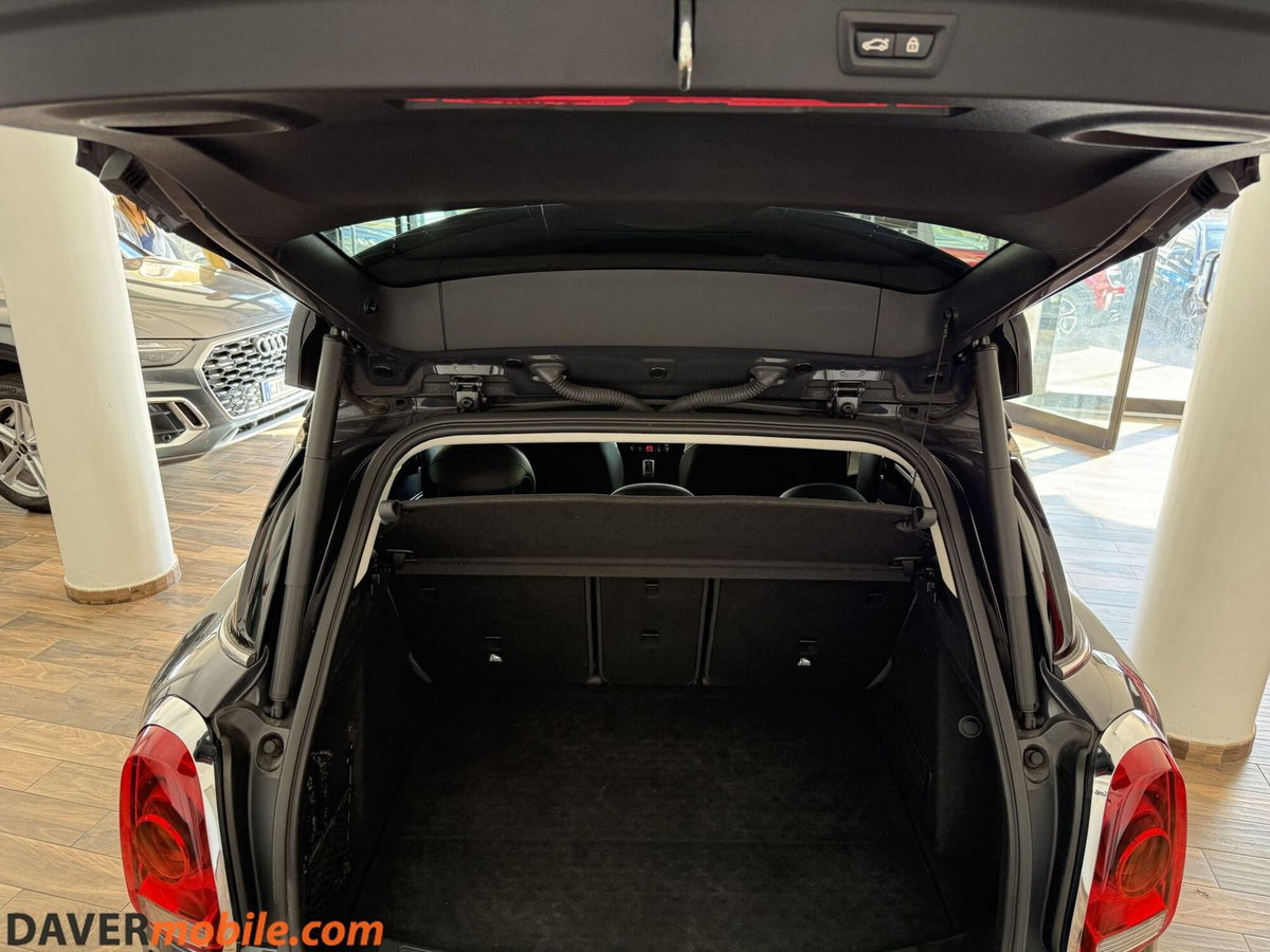 MINI Mini Countryman 2.0 Cooper SD Untamed Edition Countryman ALL4 (7)