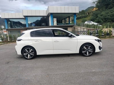 Peugeot 308 1.5 bluehdi Allure s&s 130cv eat8 (4)