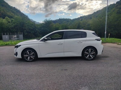 Peugeot 308 1.5 bluehdi Allure s&s 130cv eat8 (5)