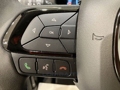 Fiat Panda Cross Cross 1.0 FireFly S&S Hybrid (12)
