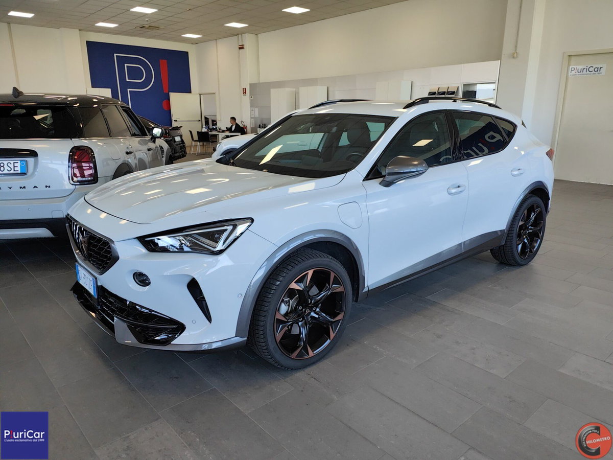 Cupra Formentor Formentor 2.0 tdi 4drive 150cv dsg