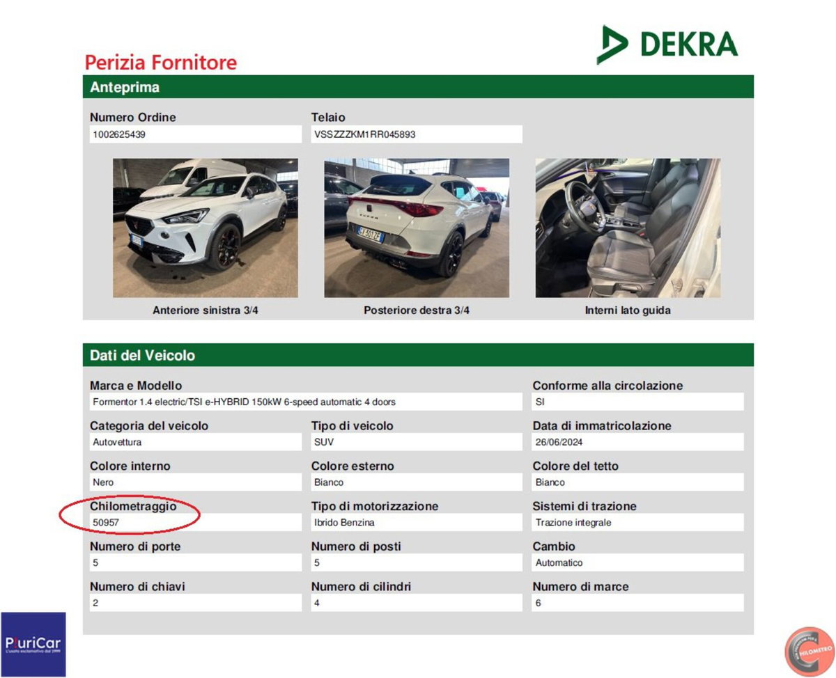 Cupra Formentor Formentor 2.0 tdi 4drive 150cv dsg (13)