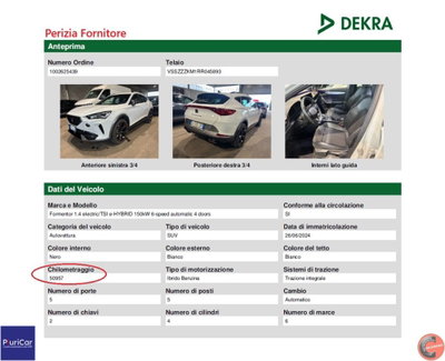 Cupra Formentor Formentor 2.0 tdi 4drive 150cv dsg (13)