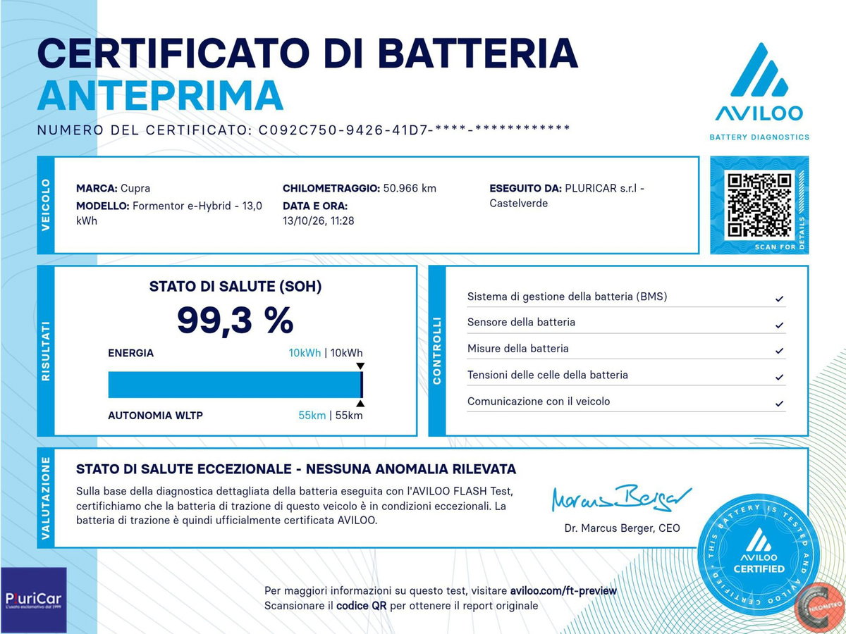 Cupra Formentor Formentor 2.0 tdi 4drive 150cv dsg (14)