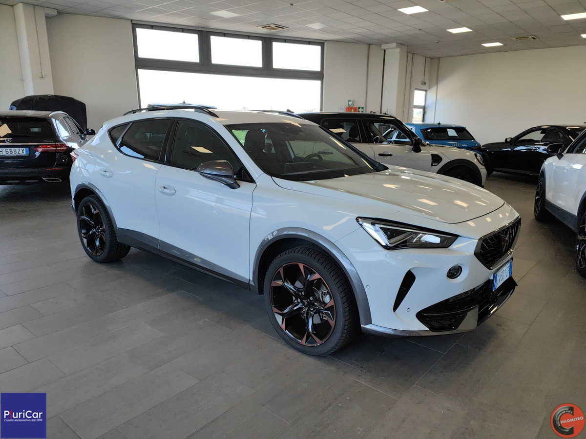 Cupra Formentor Formentor 2.0 tdi 4drive 150cv dsg (2)