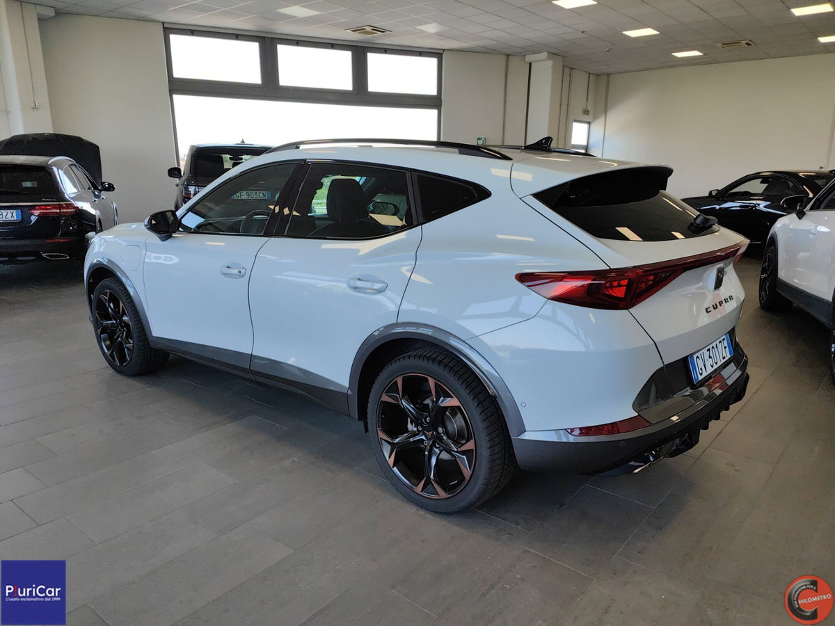Cupra Formentor Formentor 2.0 tdi 4drive 150cv dsg (9)