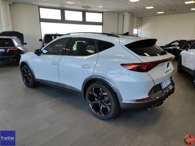 Cupra Formentor Formentor 2.0 tdi 4drive 150cv dsg (9)