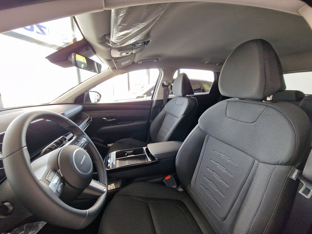 Hyundai Tucson 1.6 hev Business 2wd 239cv auto (9)