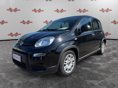 Fiat Panda Cross Cross 1.0 FireFly S&S Hybrid usata