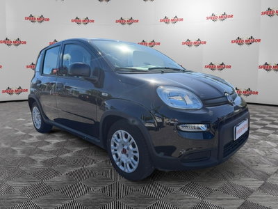 Fiat Panda Cross Cross 1.0 FireFly S&S Hybrid (4)
