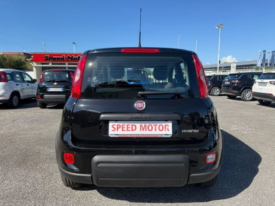 Fiat Panda Cross Cross 1.0 FireFly S&S Hybrid (5)
