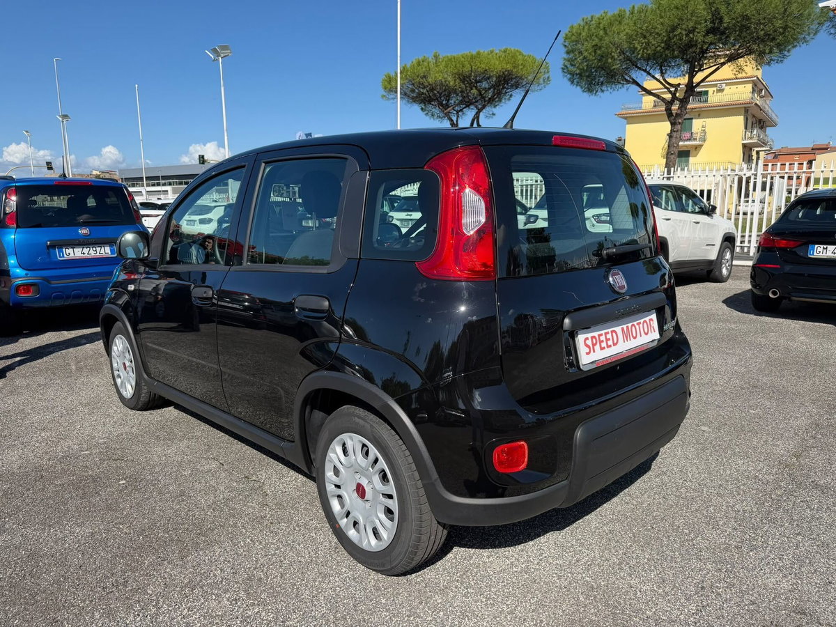 Fiat Panda Cross Cross 1.0 FireFly S&S Hybrid (6)
