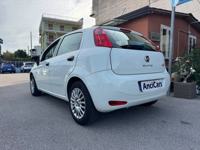 Fiat Punto 1.3 MJT II 75 CV 5 porte Street (14)