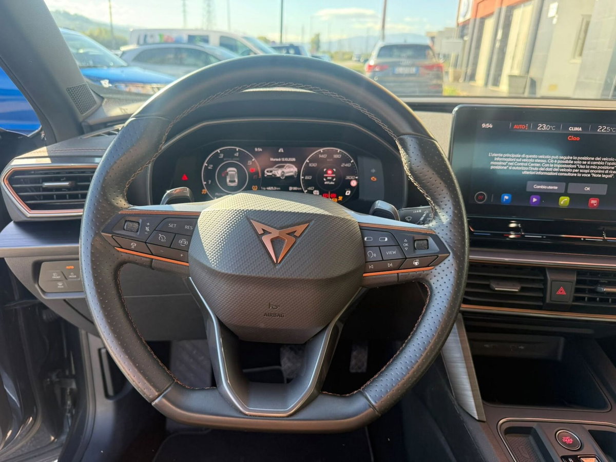 Cupra Formentor Formentor 2.0 tdi 4drive 150cv dsg (11)