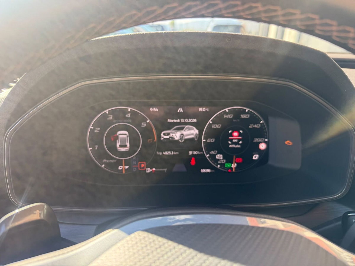 Cupra Formentor Formentor 2.0 tdi 4drive 150cv dsg (12)