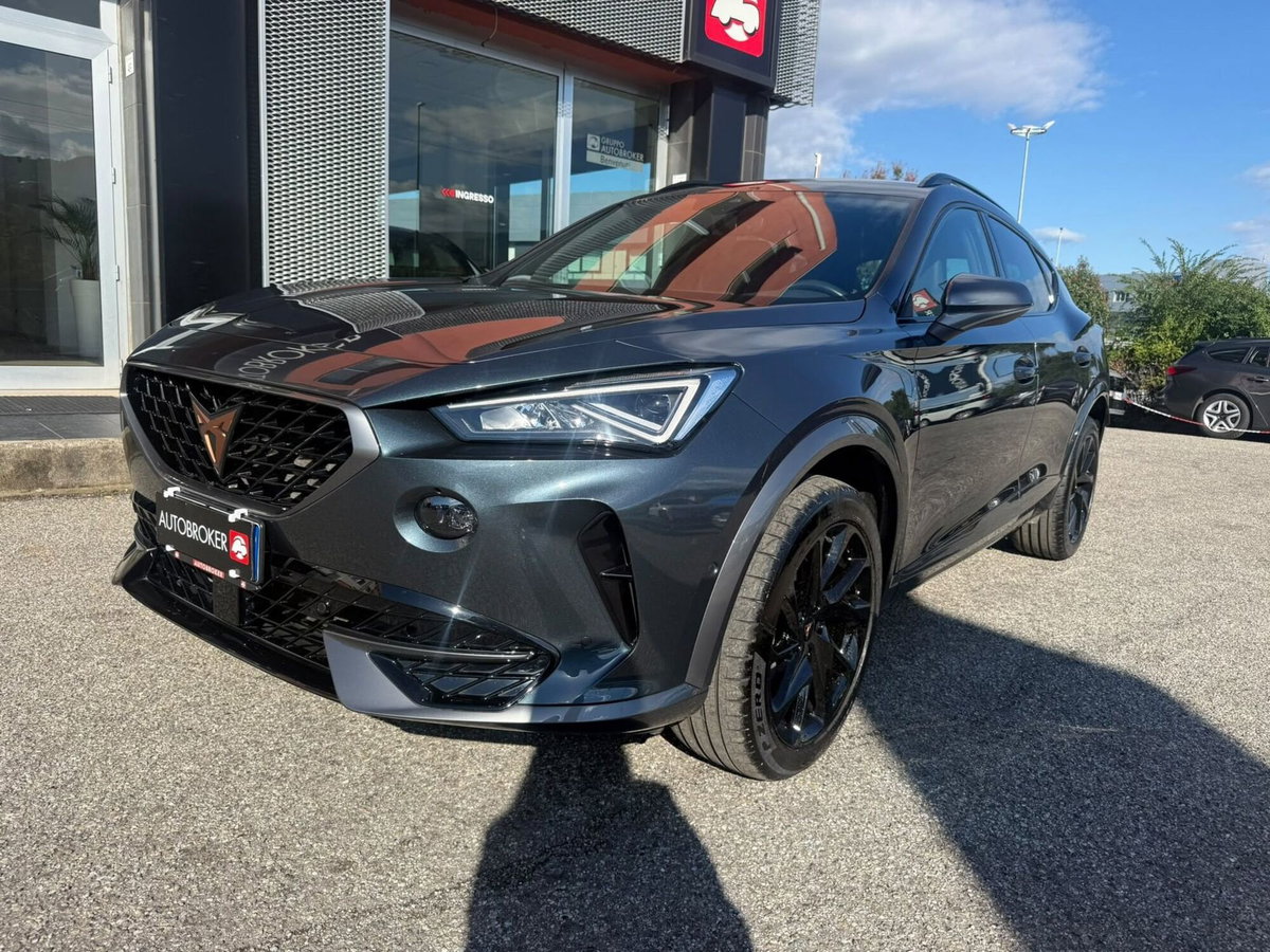 Cupra Formentor Formentor 2.0 tdi 4drive 150cv dsg (3)