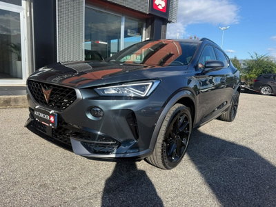 Cupra Formentor Formentor 2.0 tdi 4drive 150cv dsg (3)