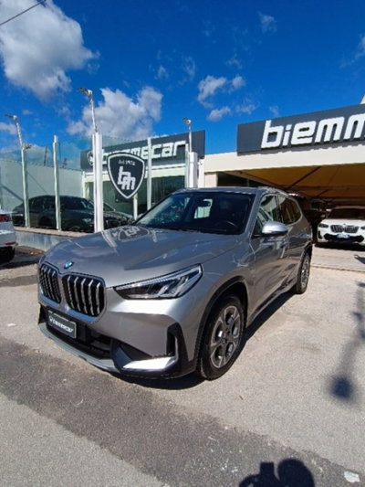 BMW X1 xDrive 23d xLine (2)